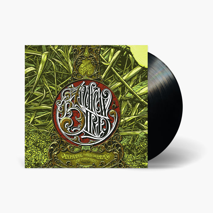 Andrew Bird - Anonanimal / See The Enemy Vinyl & Merch | Fat Possum Records