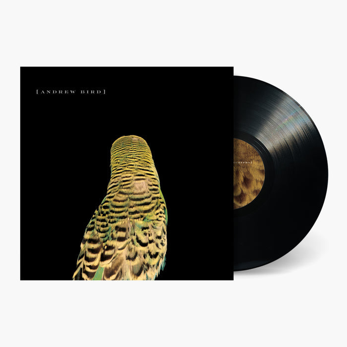 Andrew Bird - Armchair Apocrypha Vinyl & Merch | Fat Possum Records