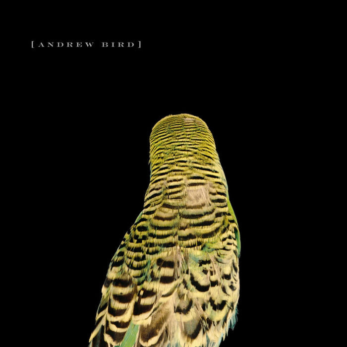 Fat Possum - Armchair Apocrypha Vinyl & Merch | Fat Possum Records