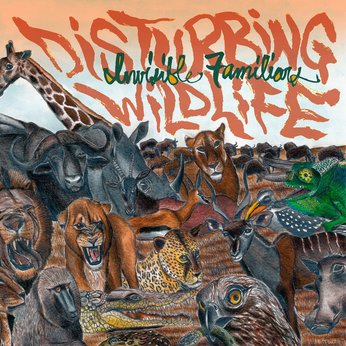 Fat Possum - Disturbing Wildlife Vinyl & Merch | Fat Possum Records