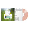 Spiritualized - Everything Was Beautiful Vinyl & Merch | Fat Possum Records
