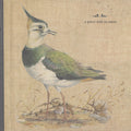 A Grave With No Name - Feathers Wet, Under The Moon Vinyl & Merch | Fat Possum Records