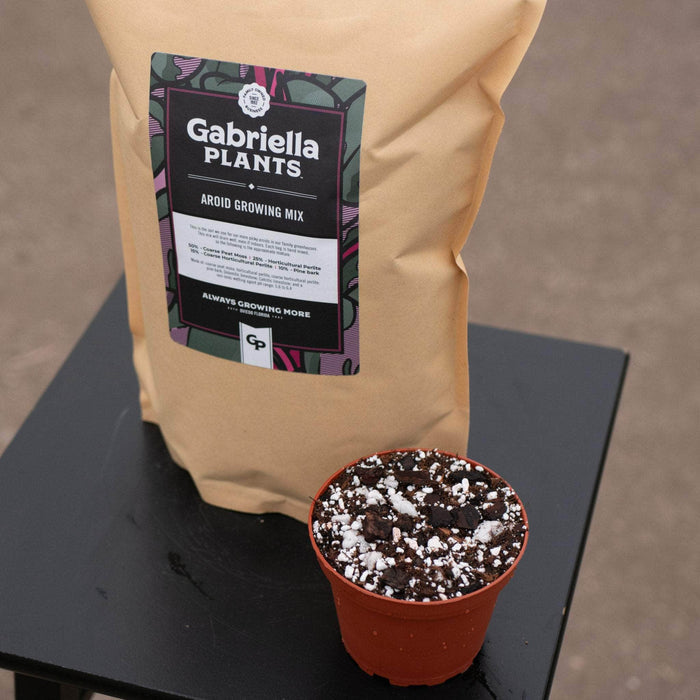 Gabriella Plants Add On GP Aroid Substrate Mix