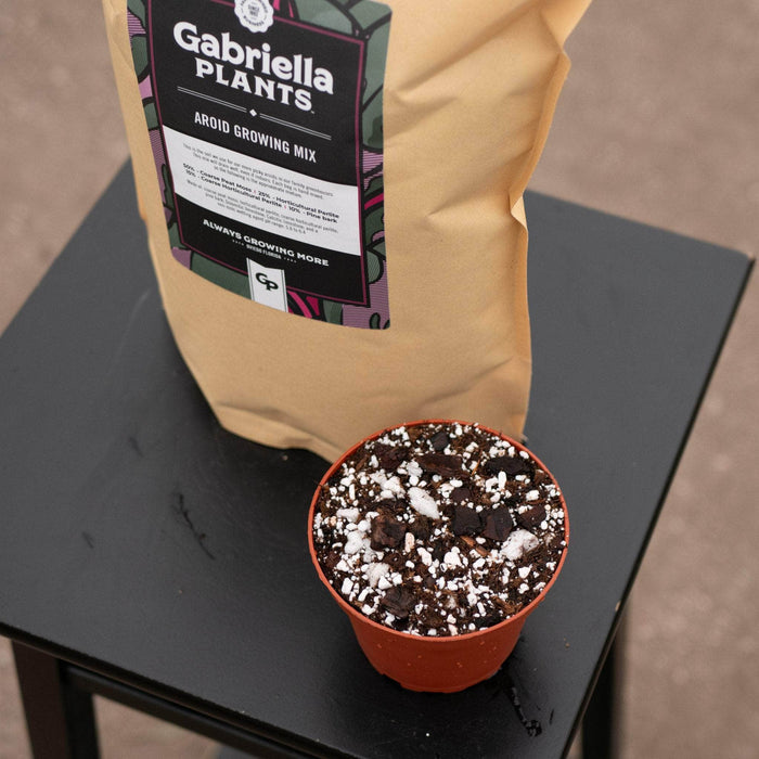 Gabriella Plants Add On GP Aroid Substrate Mix