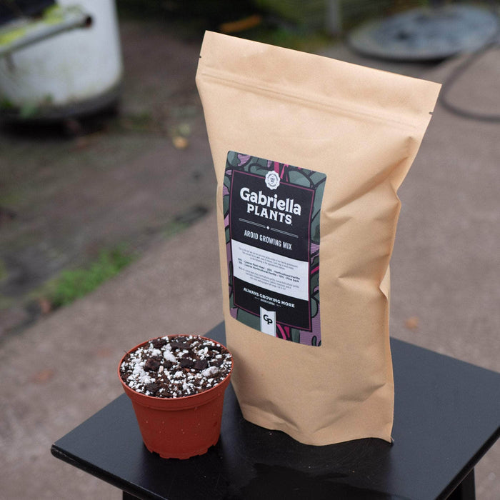 Gabriella Plants Add On GP Aroid Substrate Mix