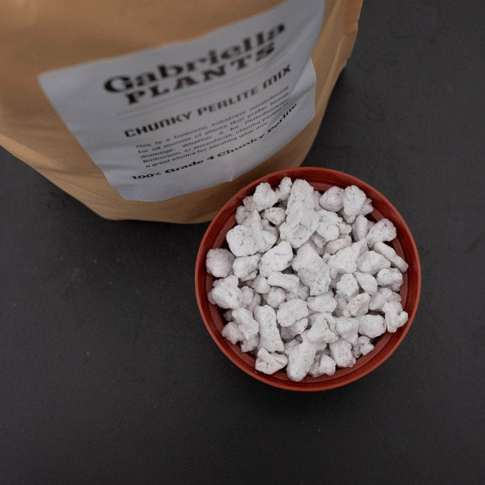 Gabriella Plants Add On GP Chunky Perlite Mix
