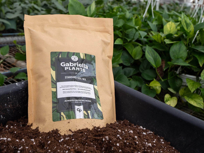 Gabriella Plants Add On GP Standard Soil Mix