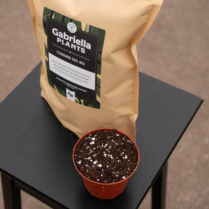 Gabriella Plants Add On GP Standard Substrate Mix