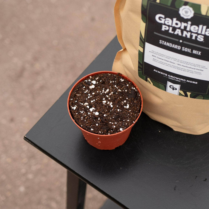 Gabriella Plants Add On GP Standard Substrate Mix