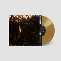The Weather Station - How Is It That I Should Look At The Stars Vinyl & Merch | Fat Possum Records