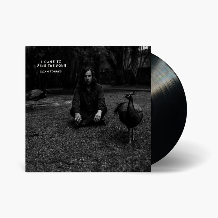 Adam Torres - I Came to Sing the Song EP Vinyl & Merch | Fat Possum Records