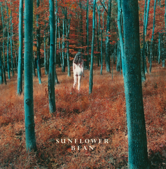 Fat Possum - I Hear Voices The Stalker 7 Vinyl & Merch | Fat Possum Records