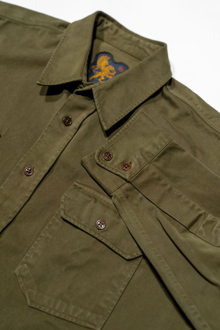 Indigofera Alamo - Olive