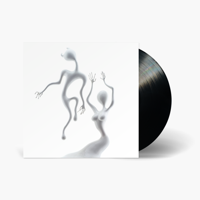 Fat Possum - Lazer Guided Melodies Vinyl & Merch | Fat Possum Records