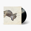 Water Liars - Moon Over Madison 7" Vinyl & Merch | Fat Possum Records