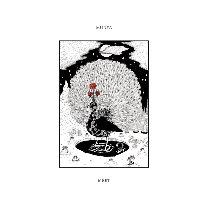 Fat Possum - Munya Vinyl & Merch | Fat Possum Records