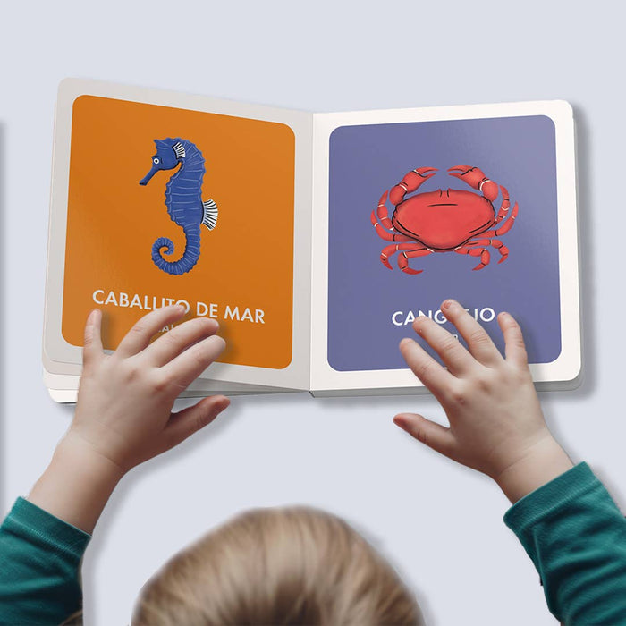 My First Bilingual Library