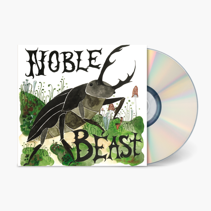 Andrew Bird - Noble Beast Deluxe Vinyl & Merch | Fat Possum Records