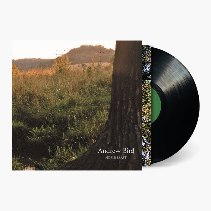Andrew Bird - Noble Beast Vinyl & Merch | Fat Possum Records