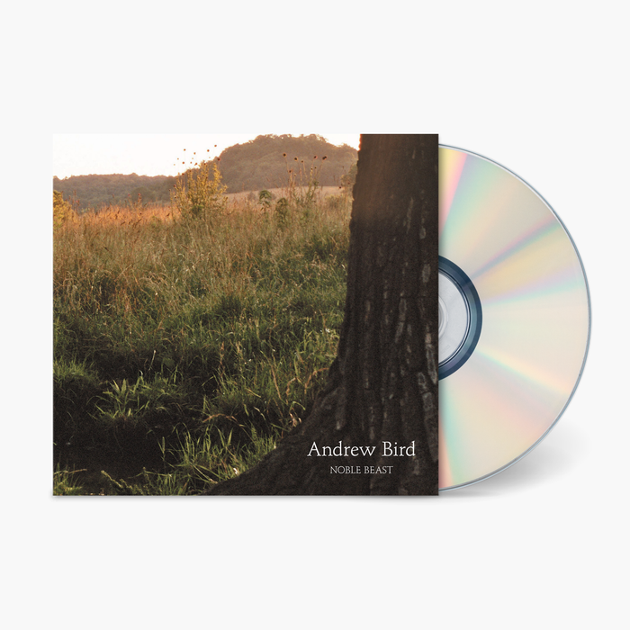 Fat Possum - Noble Beast 2 Vinyl & Merch | Fat Possum Records