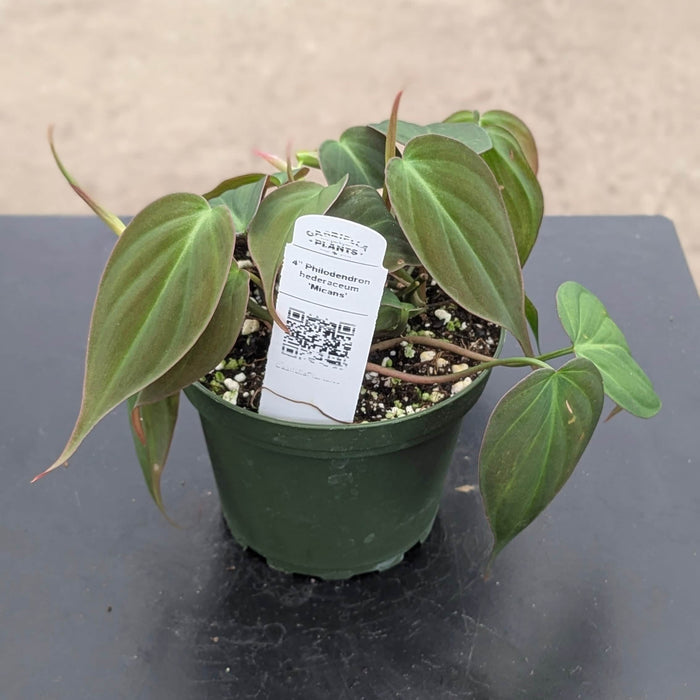 4"