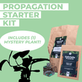 Gabriella Plants Other 1-Propagation Starter Kit