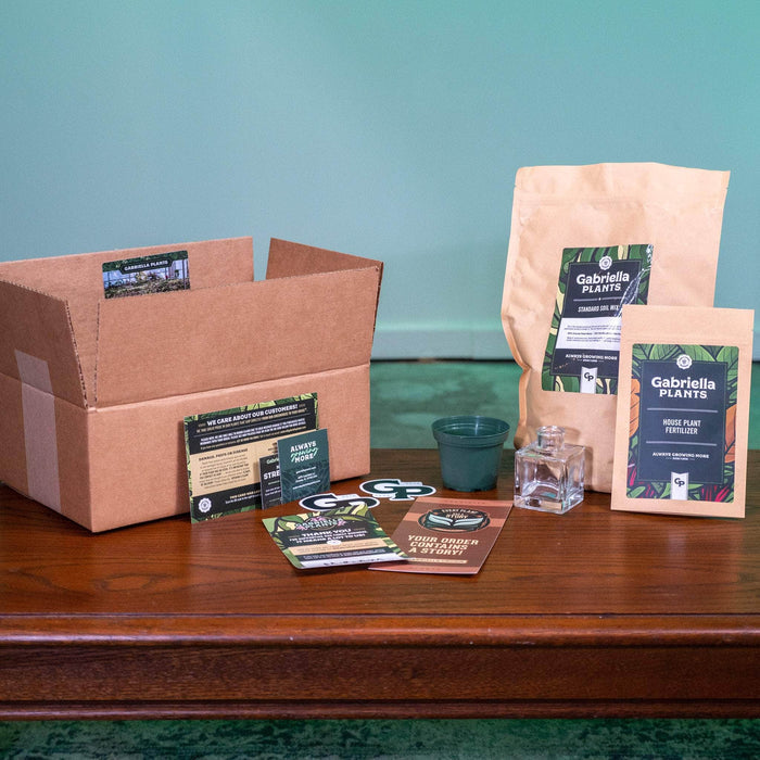 Gabriella Plants Other 1-Propagation Starter Kit