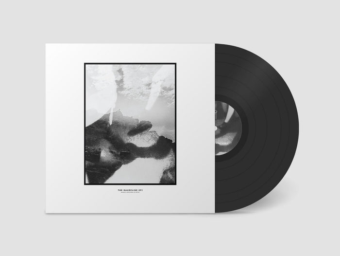 Hippo Campus - The Halocline EPs Vinyl & Merch | Fat Possum Records