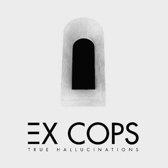 Fat Possum - True Hallucinations Vinyl & Merch | Fat Possum Records