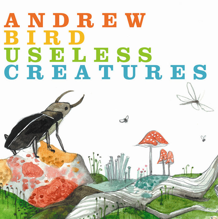 Fat Possum - Useless Creatures Vinyl & Merch | Fat Possum Records