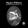 Big Joe Williams - Vol 05 - Big Joe Williams Vinyl & Merch | Fat Possum Records