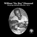 William "Do-Boy" Diamond - Vol 12 - William "Do-Boy" Diamond Vinyl & Merch | Fat Possum Records