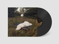 Hippo Campus - Warm Glow Vinyl & Merch | Fat Possum Records