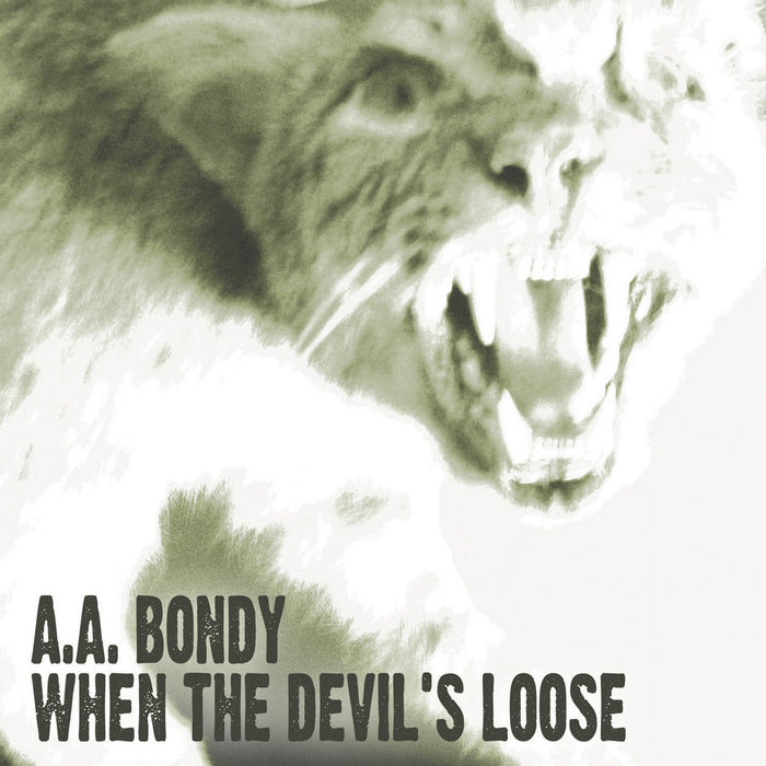 Fat Possum - When The Devils Loose Vinyl & Merch | Fat Possum Records