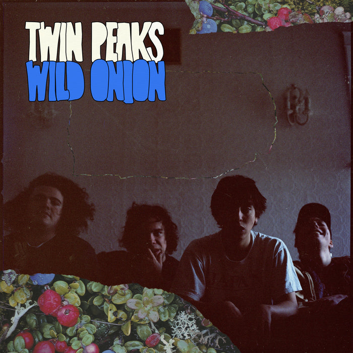 Fat Possum - Wild Onion Vinyl & Merch | Fat Possum Records